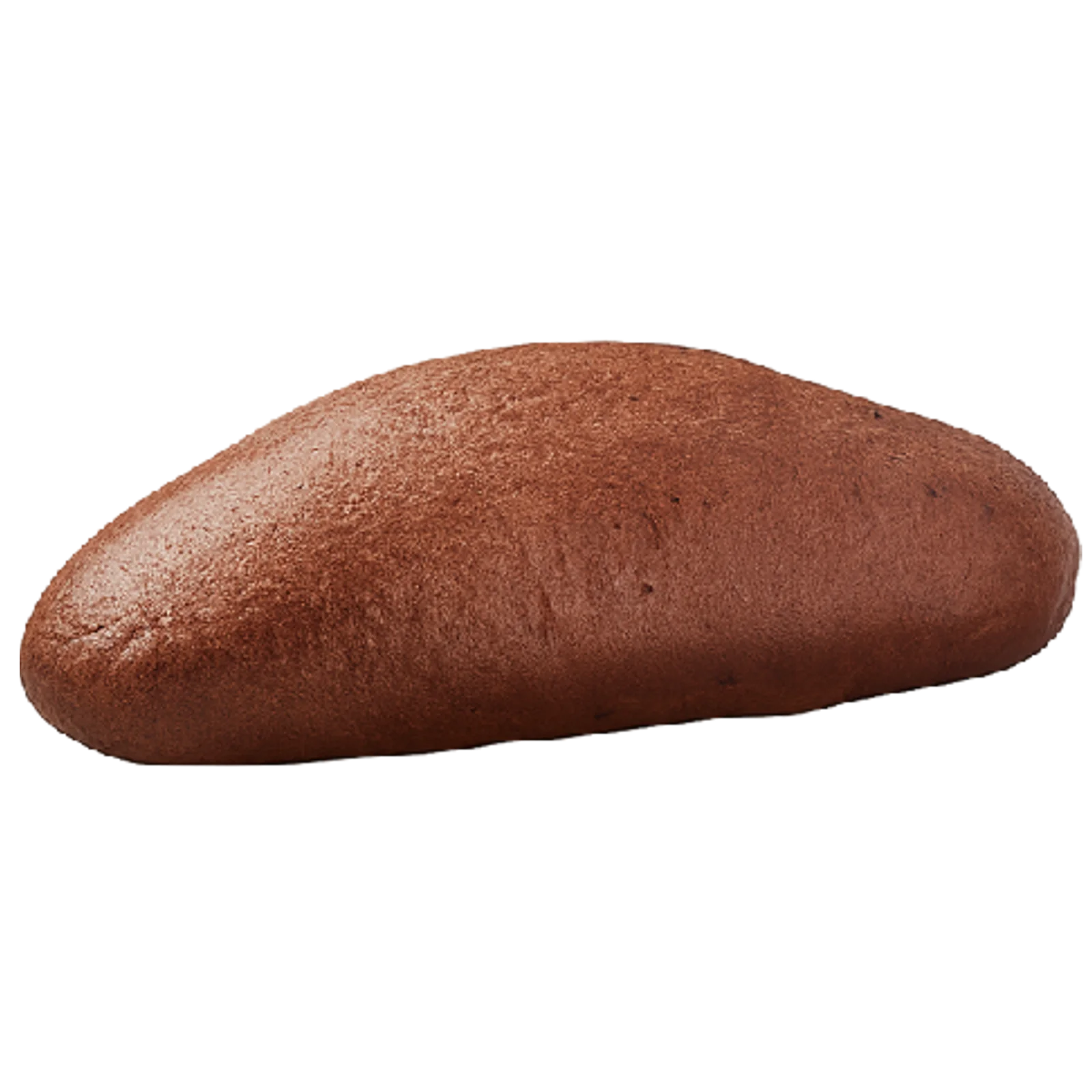 3267 Vörtbröd russin skivat